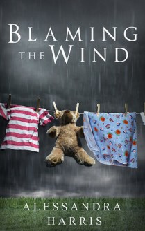 Blaming the Wind Book Review @ The Jinxed Goblet
